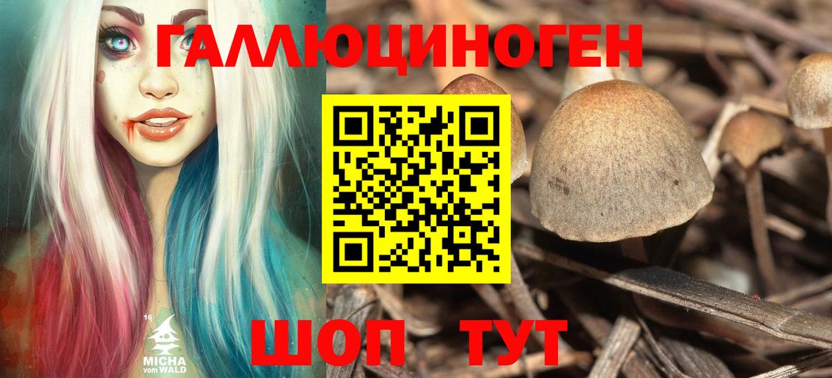 Галлюциногенные грибы прущие грибы Новотроицк